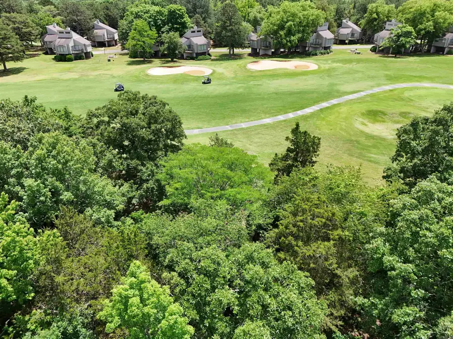 Lot 24 Mountain Ranch Drive, Fairfield Bay, AR 72088 - #3