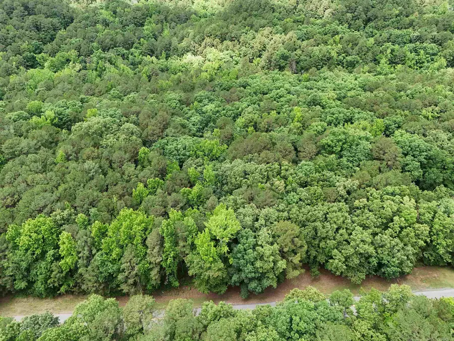 Lot 42 Mountain Ranch Drive, Fairfield Bay, AR 72088 - #2