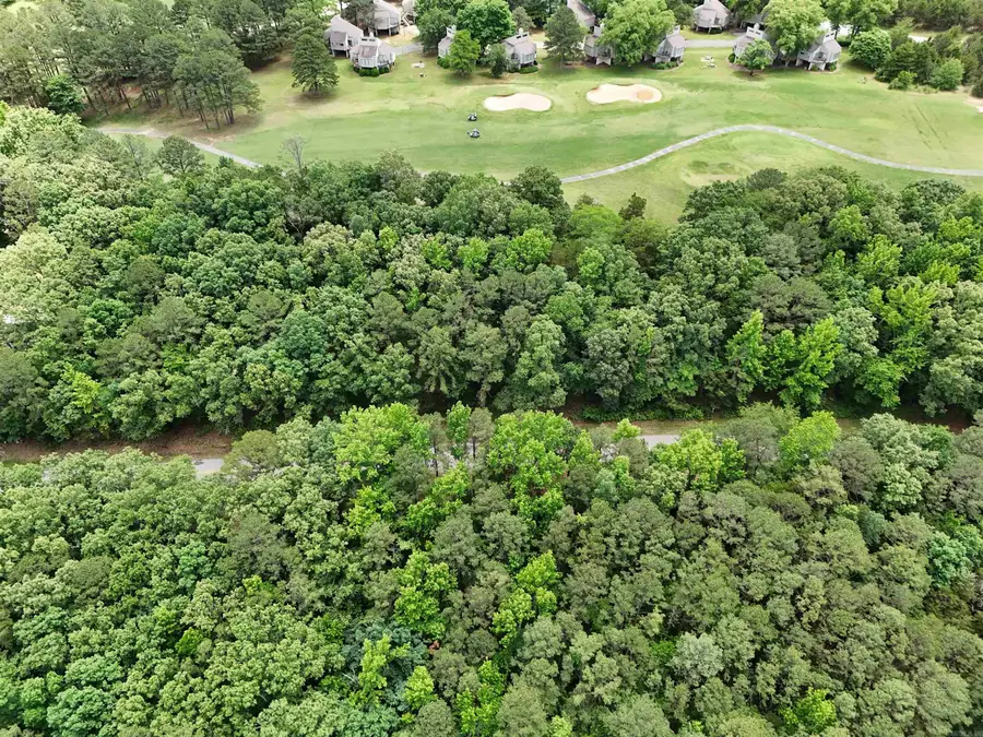 Lot 42 Mountain Ranch Drive, Fairfield Bay, AR 72088 - #3