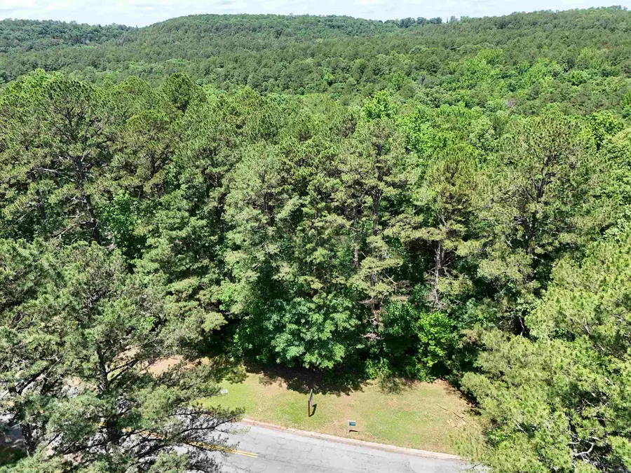 Lot 53 Mountain Ranch Drive, Fairfield Bay, AR 72088 - #2