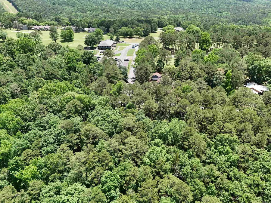 Lot 53 Mountain Ranch Drive, Fairfield Bay, AR 72088 - #3