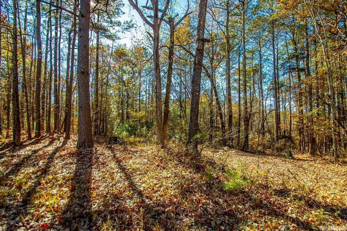 Vimy Woods Drive, Bryant, AR 72022 - #1