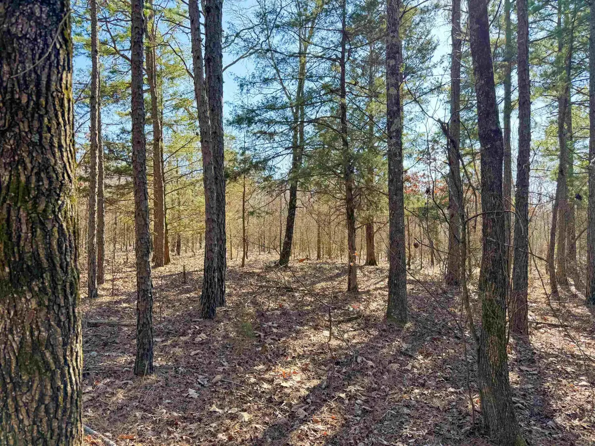 100 Guy Lane, Quitman, AR 72131 - #1