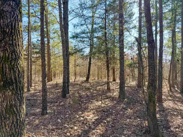 100 Guy Lane, Quitman, AR 72131