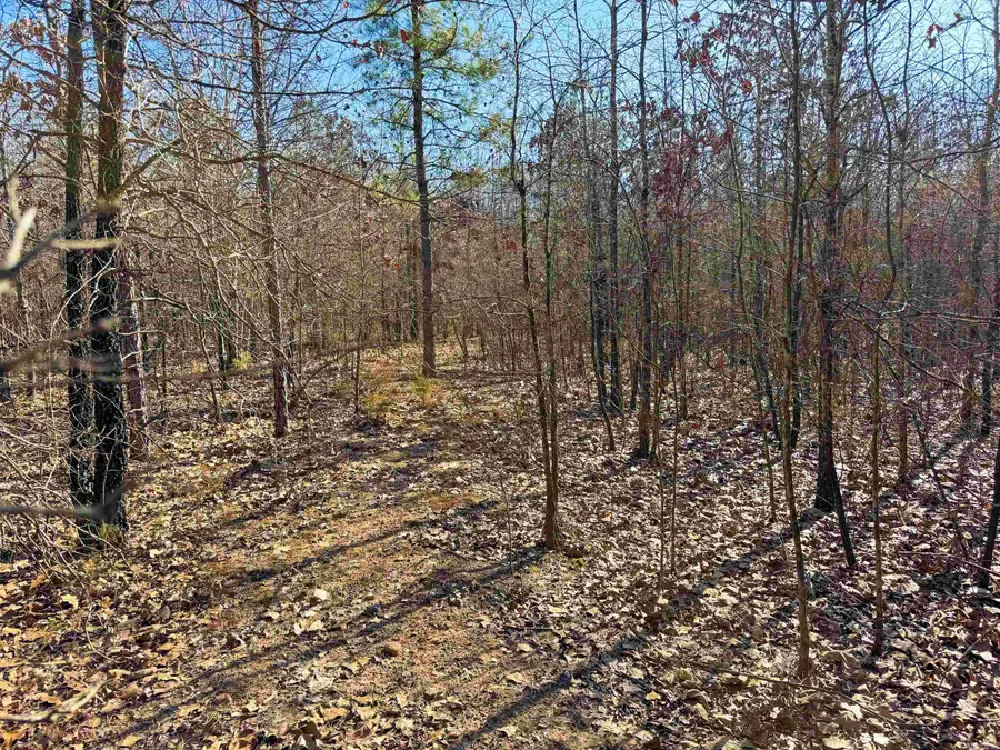 100 Guy Lane, Quitman, AR 72131 - #3