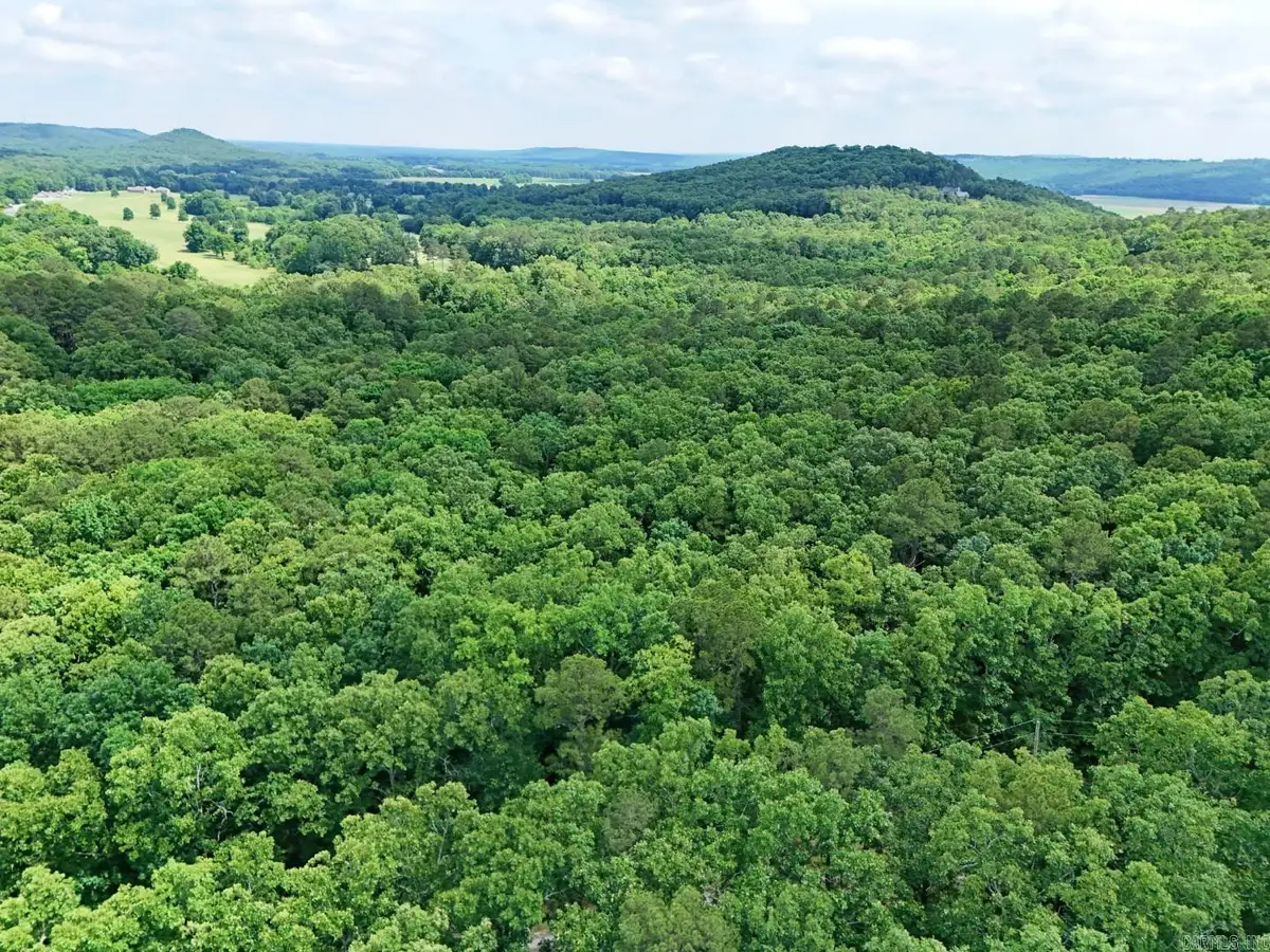 Tract 4 Gap Road, Batesville, AR 72501 - #1