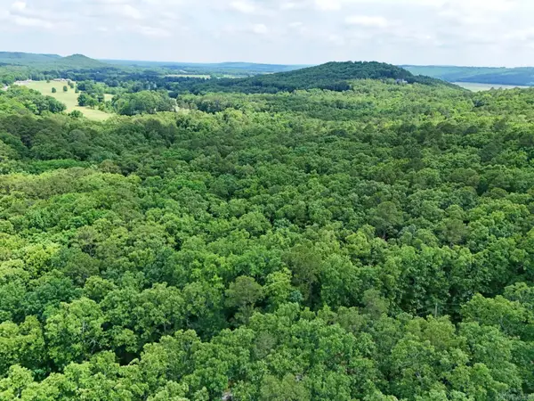 Tract 4 Gap Road, Batesville, AR 72501