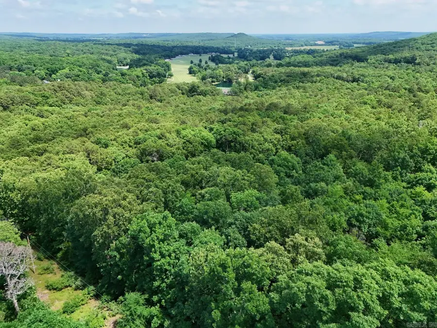 Tract 4 Gap Road, Batesville, AR 72501 - #3