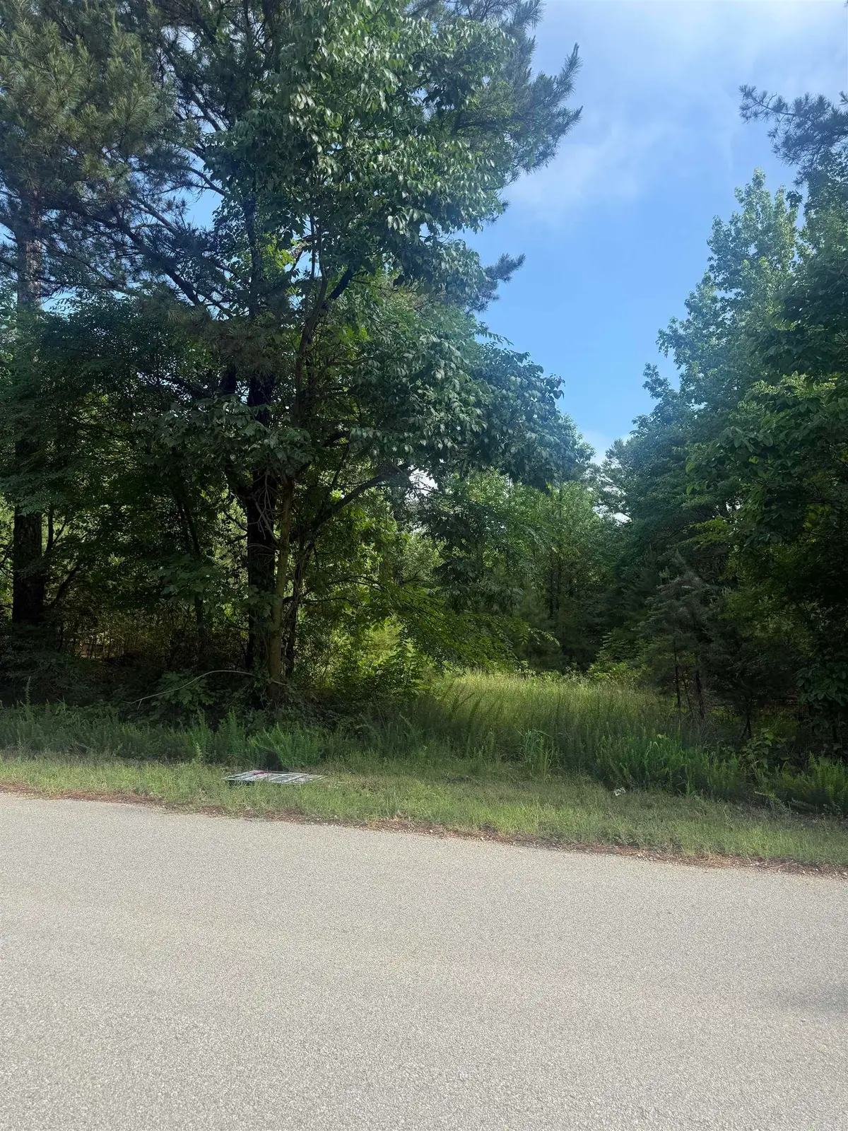 3282 Greene 625 Rd, Paragould, AR 72450 - #1