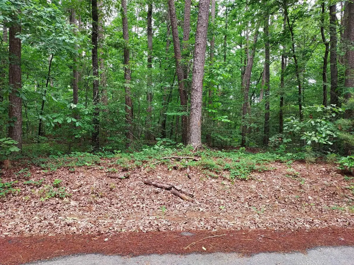 25 Zapato Way, Hot Springs Village, AR 71909 - #1