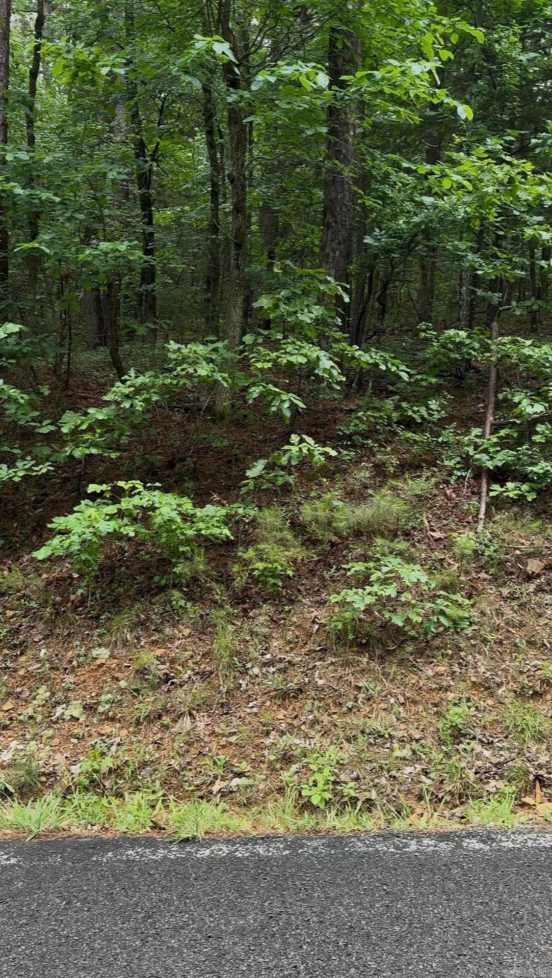 000 White Oak Court, Fairfield Bay, AR 72088 - #1