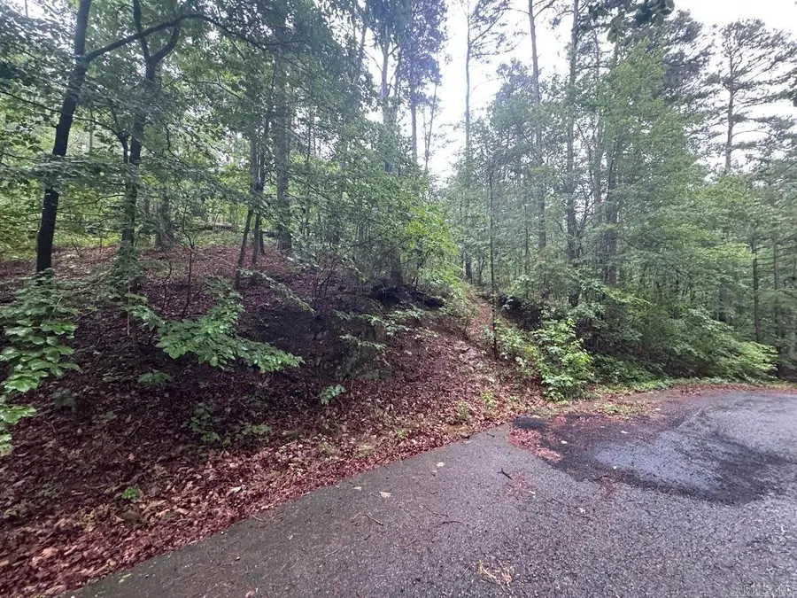 79 Greco Way, Hot Springs Village, AR 71909 - #3