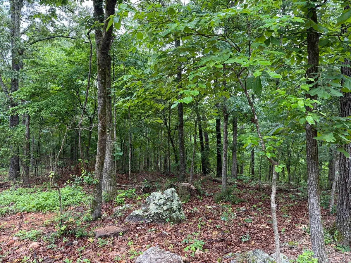 37 Tall Pine Circle, Norfork, AR 72658 - #1