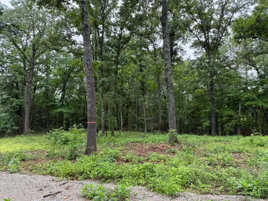 37 Tall Pine Circle, Norfork, AR 72658 - #2