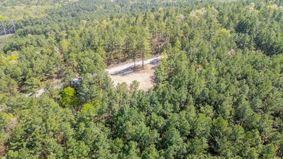 TRACT 15 High Peak Rd, Hot Springs, AR 71909 - #3