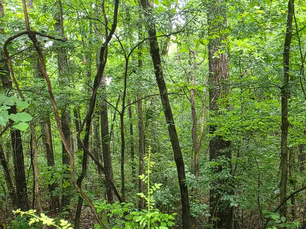 L-47, B-2 Saskatchewan Drive, Cherokee Village, AR 72529