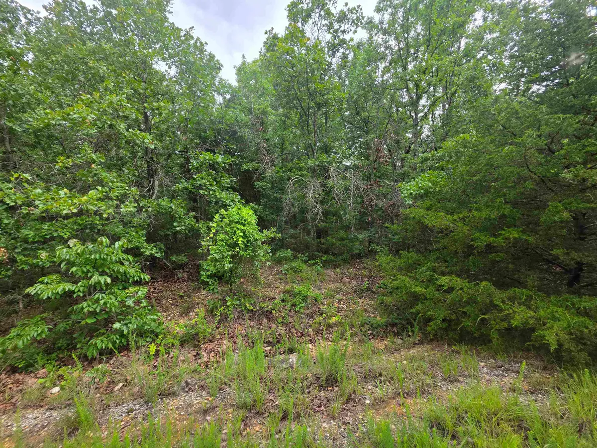 L-10, B-4 Arizonac Drive, Cherokee Village, AR 72529 - #1