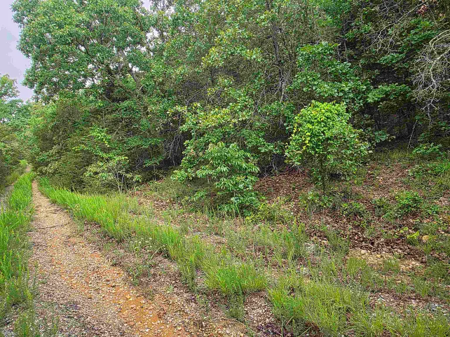L-10, B-4 Arizonac Drive, Cherokee Village, AR 72529 - #3