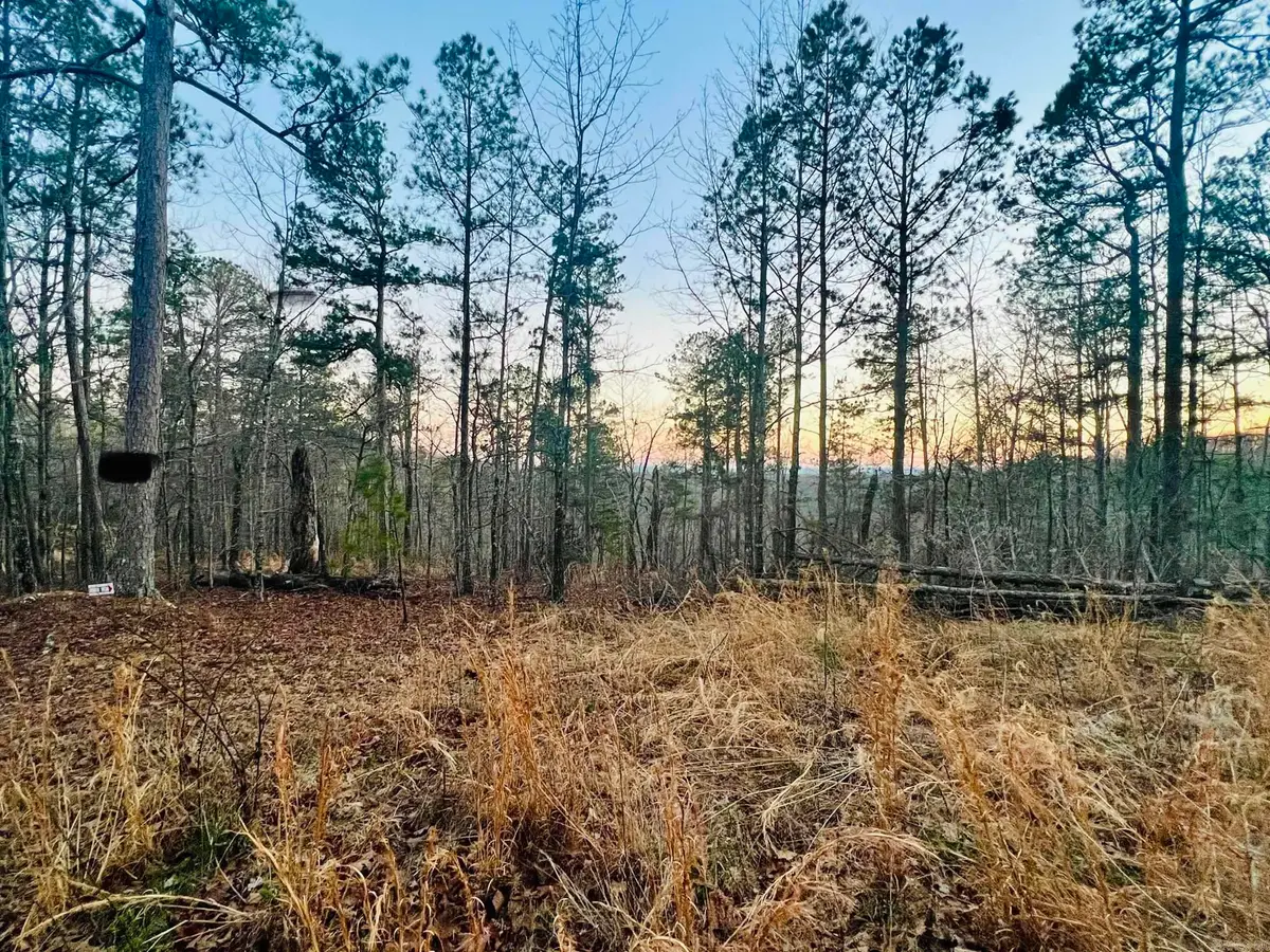 Tract 6 Ramblewood Trail, Yellville, AR 72687 - #1