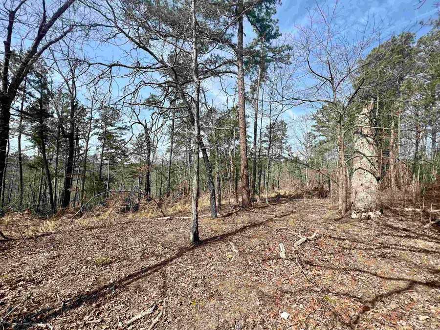 Tract 6 Ramblewood Trail, Yellville, AR 72687 - #2