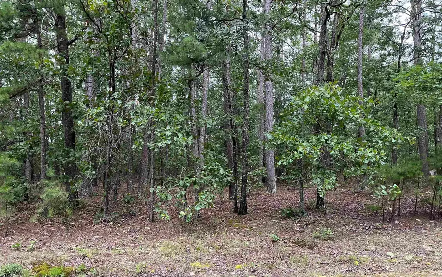 2 Caceres Pl, Hot Springs Village, AR 71909 - #2