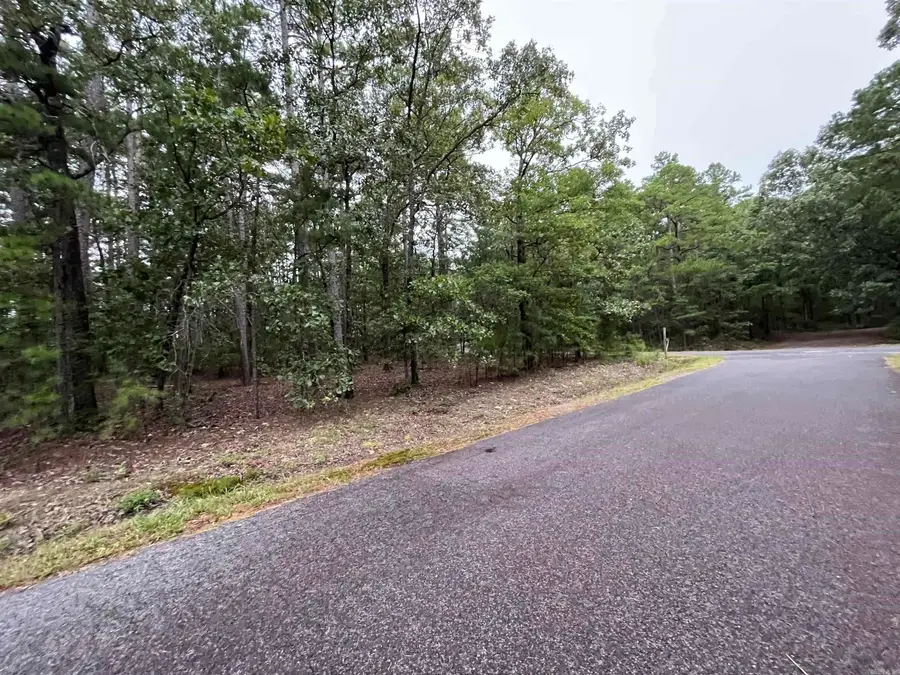 2 Caceres Pl, Hot Springs Village, AR 71909 - #3