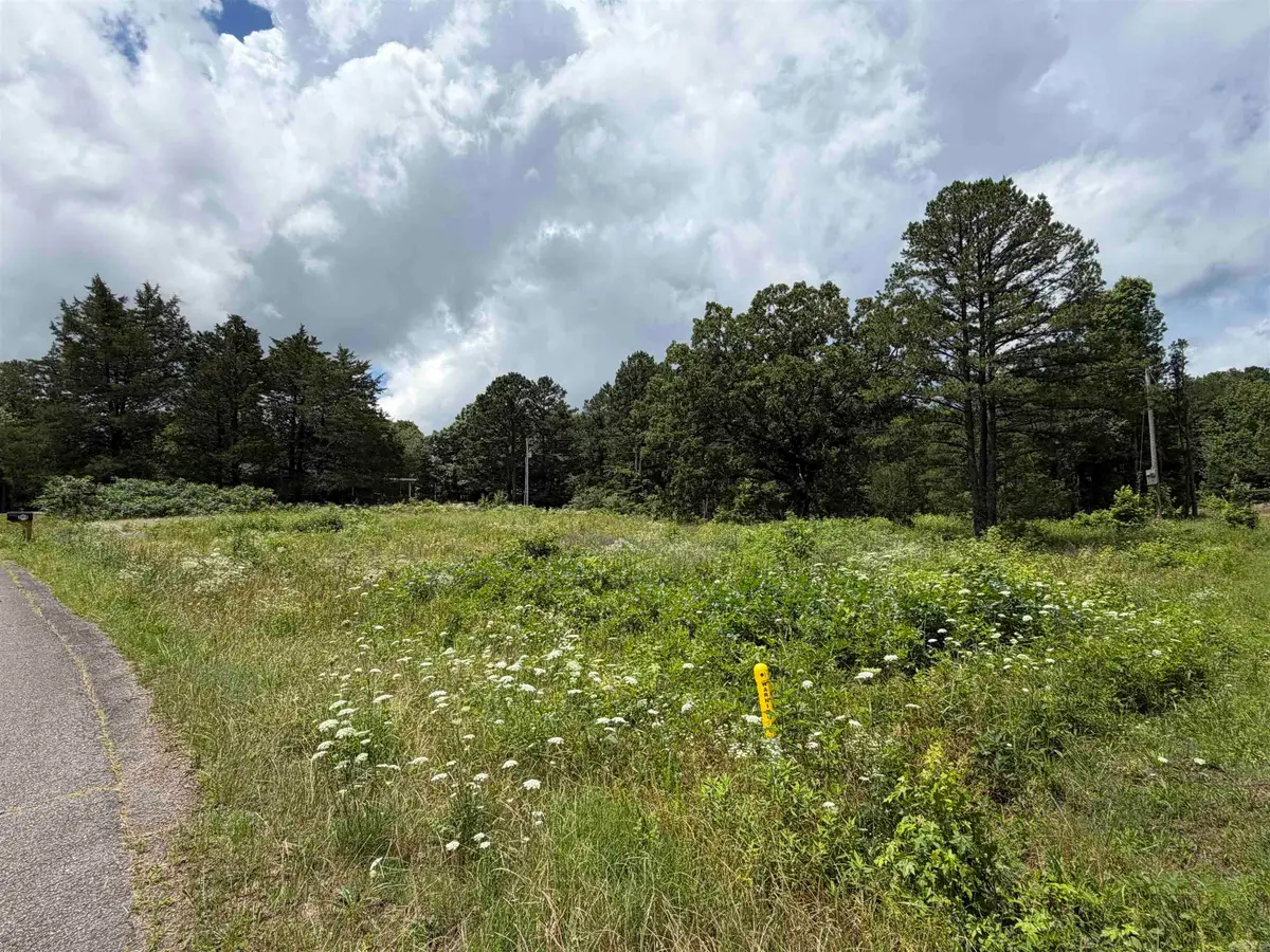 504 Cherokee Avenue, Heber Springs, AR 72543 - #1