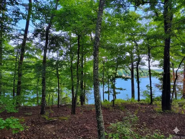 Address Withheld By Seller, Hot Springs Village, AR 71909