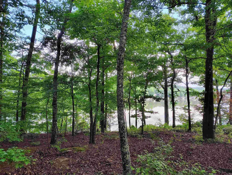 Address Withheld By Seller, Hot Springs Village, AR 71909 - #2