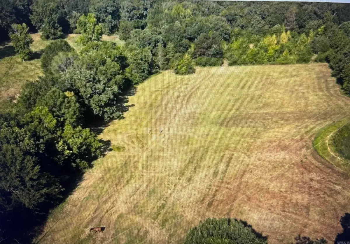 711 Twin Dikes Rd, Atkins, AR 72823 - #1