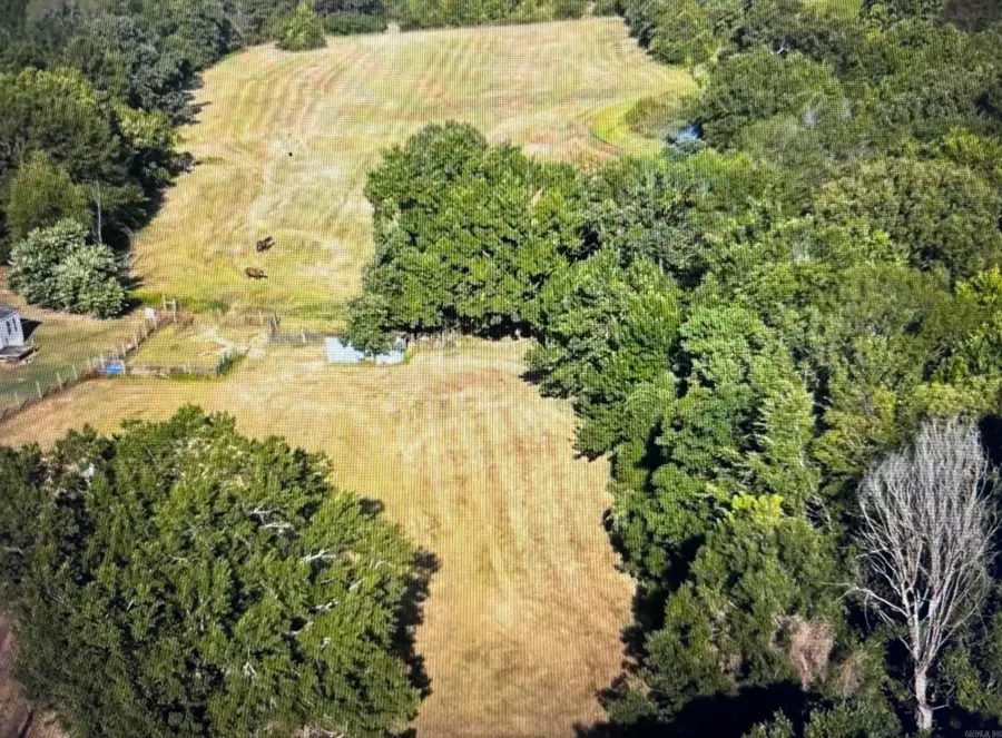 711 Twin Dikes Rd, Atkins, AR 72823 - #2
