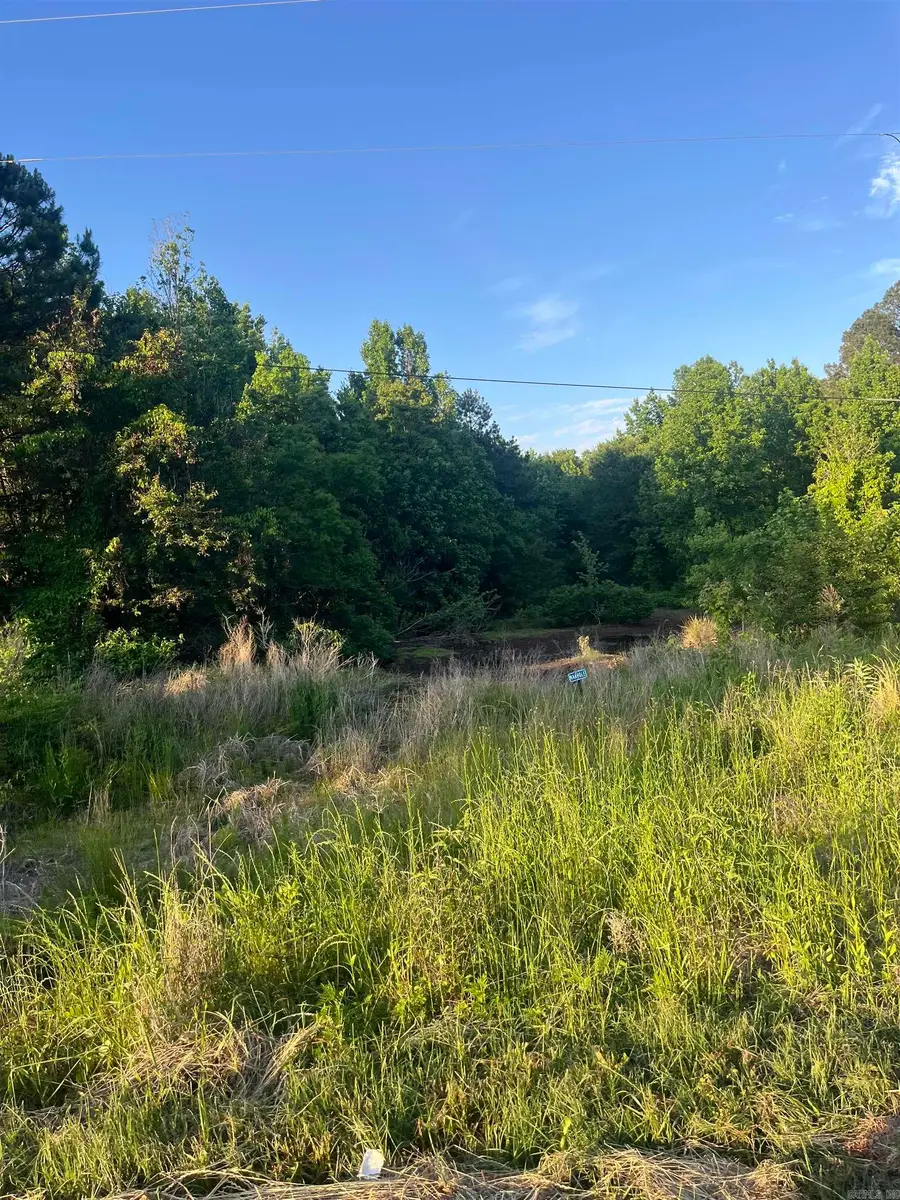Lot 41 Sherwood Forest, Monticello, AR 71655 - #2