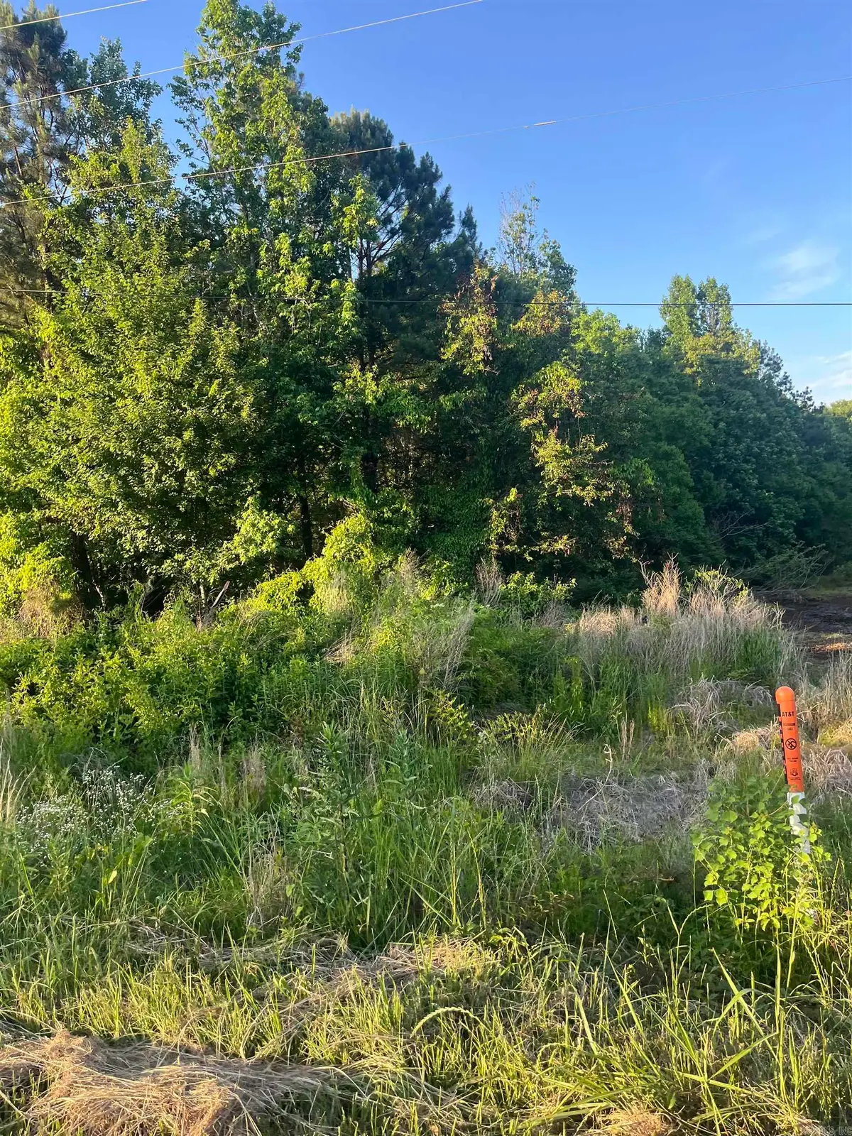 Lot 25 Kennedy St, Sherwood Forest, Monticello, AR 71655 - #1
