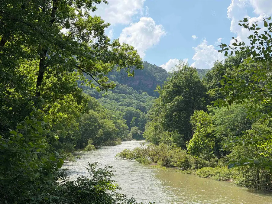 000 River Road, Shirley, AR 72153 - #2