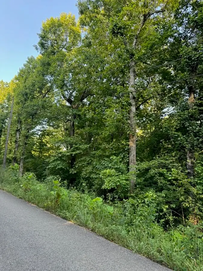 Woodland Hills Road, Hardy, AR 72542 - #2