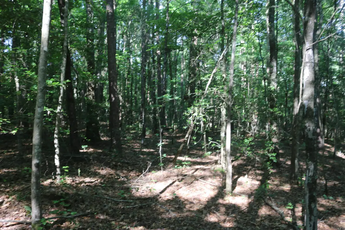 0000 Polk Rd 47, Mena, AR 71953 - #1