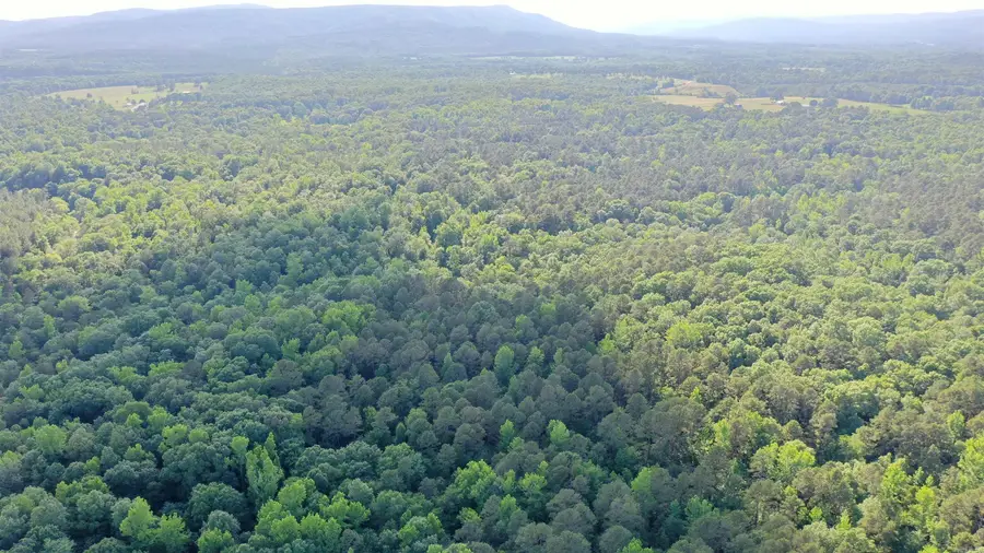0000 Polk Rd 47, Mena, AR 71953 - #2