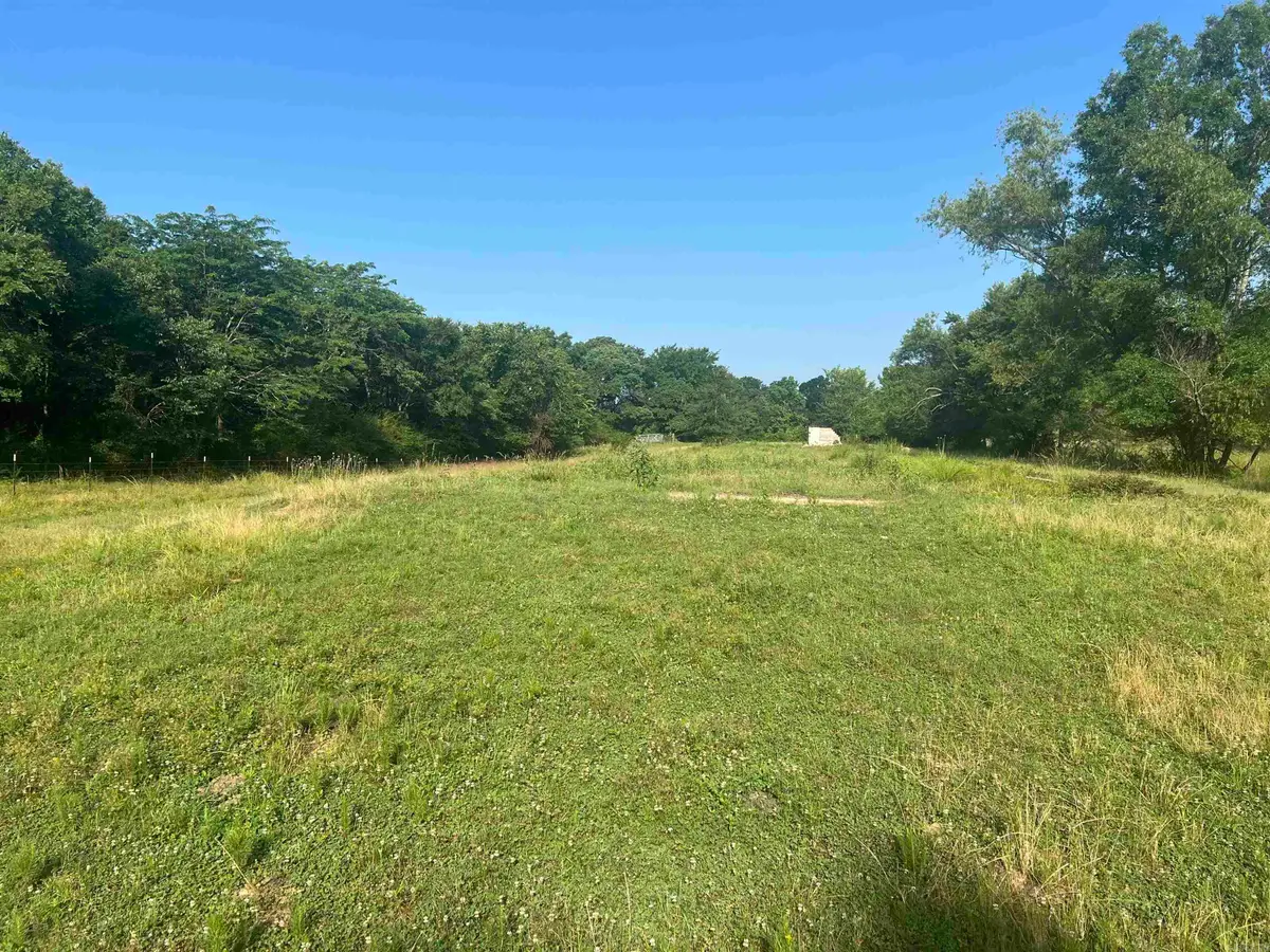 xx Mt View, Glenwood, AR 71943 - #1