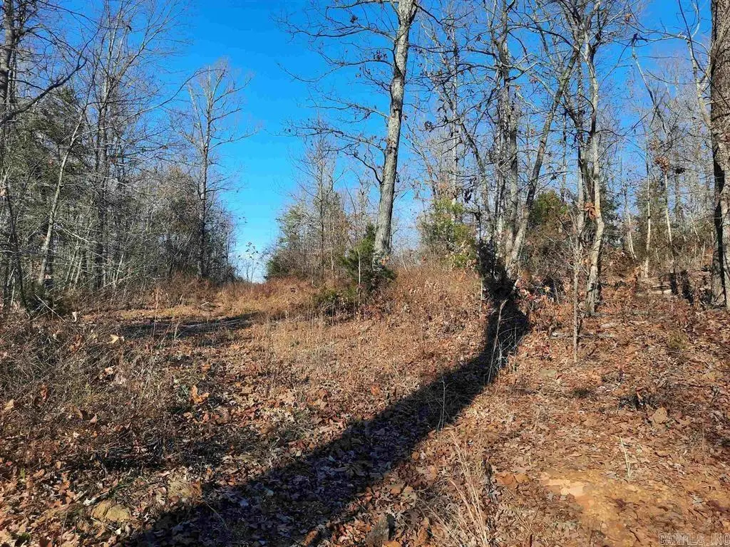 00 Wildhaven Road, Mountain View, AR 72560 - #1