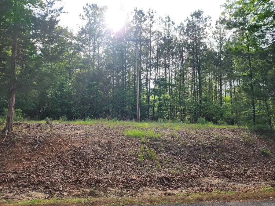 20 Acres Southfield Road, El Dorado, AR 71730 - #2