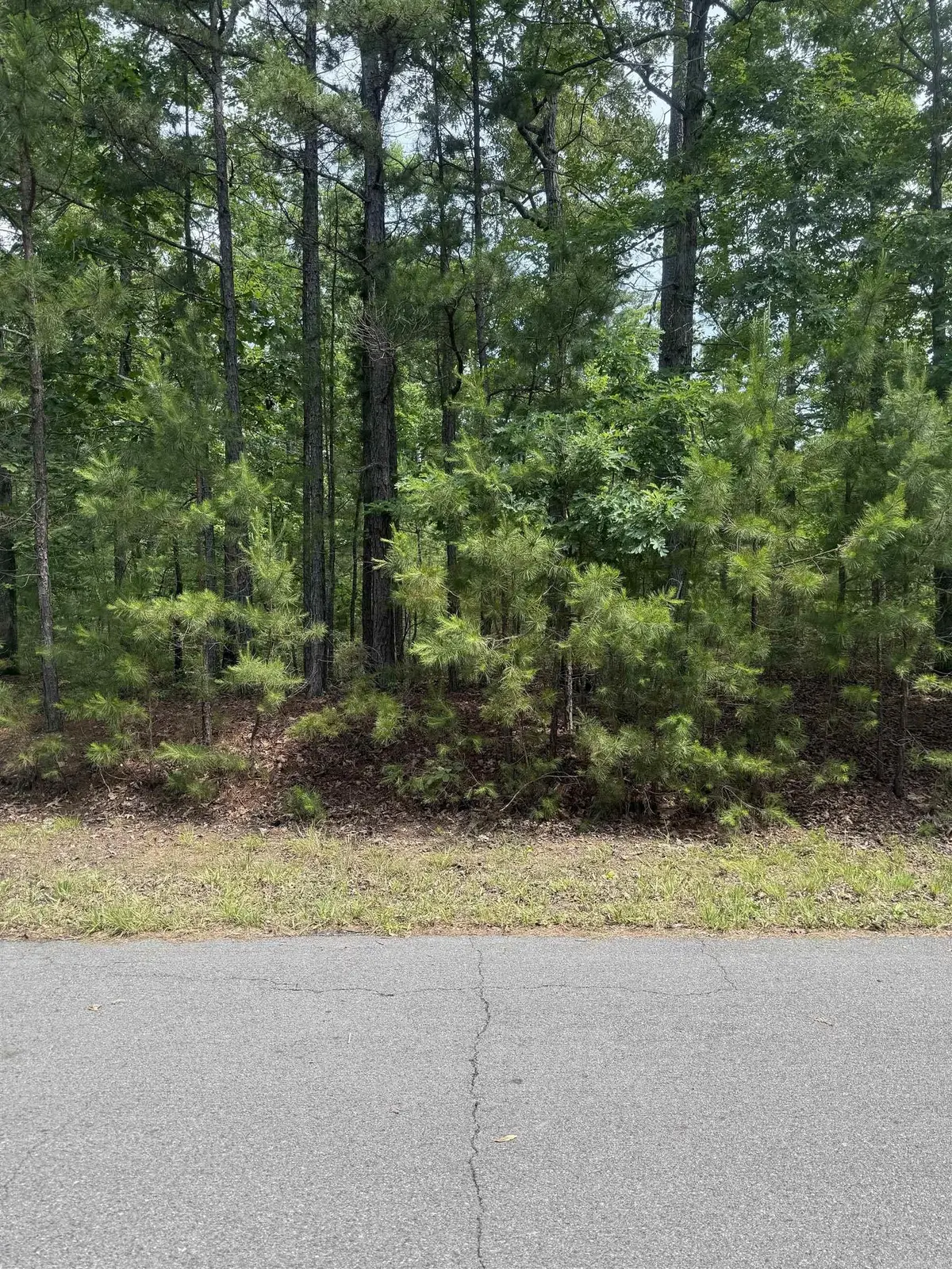 29 Ballobar Lane, Hot Springs Village, AR 71909 - #1