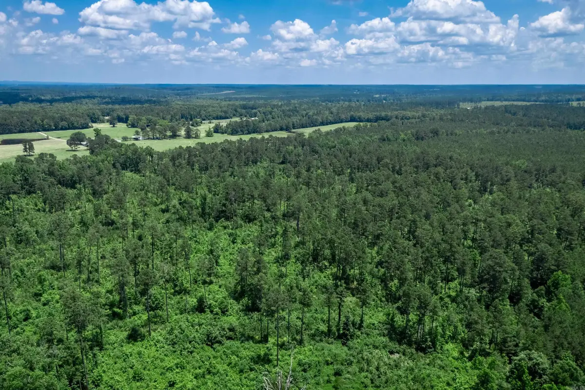 Tbd Mathews Road, Donaldson, AR 71941 - #1