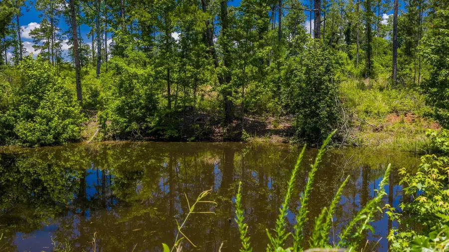 Tract 3 Hwy 124, Springfield, AR 72157 - #2