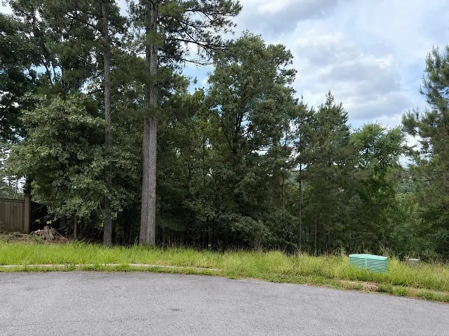 25 Basswood Terrace, Maumelle, AR 72113 - #3