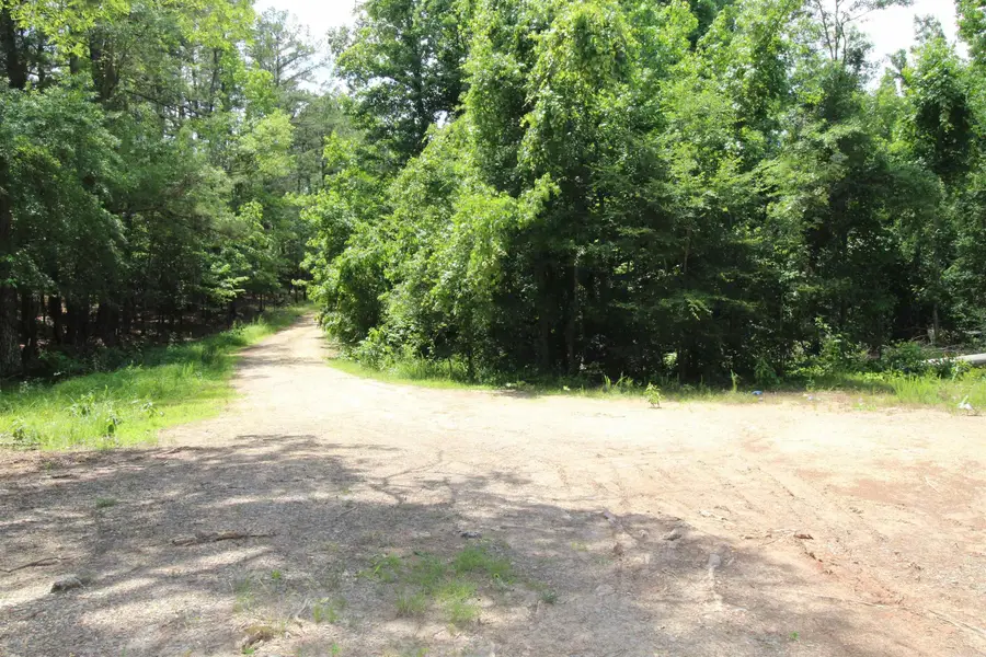2230 Grant 29, Pine Bluff, AR 71603 - #3