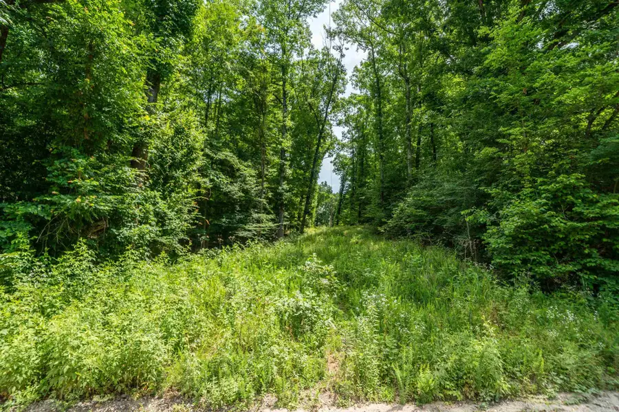xx Baroid Road, Magnet Cove, AR 72104 - #3