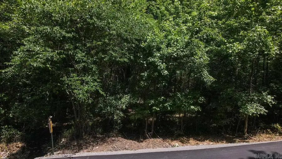00 Wilderness Road, Greenbrier, AR 72058 - #2