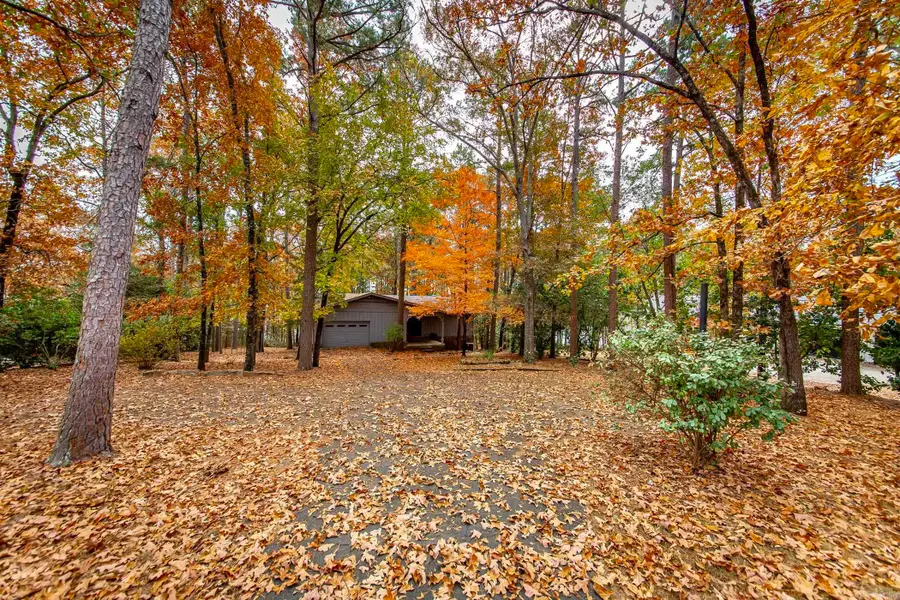 324 Valhalla Drive, Edgemont, AR 72044 - #3