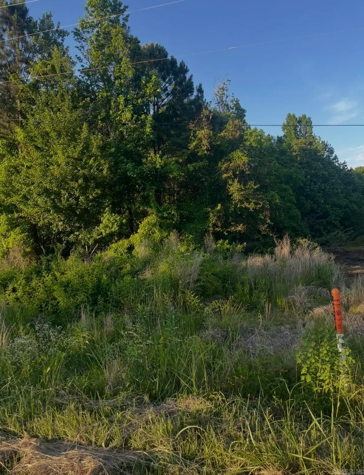 Lot 7 Parkwood, Monticello, AR 71655 - #1