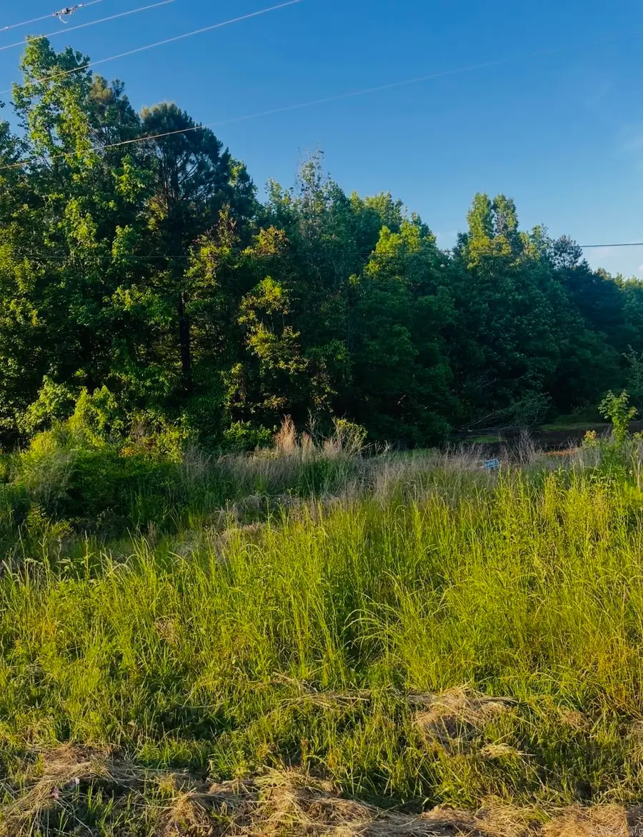 Lot 7 Parkwood, Monticello, AR 71655 - #3